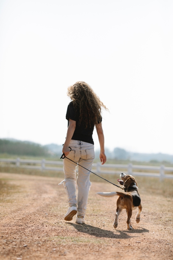 afvallen door wandelen met hond