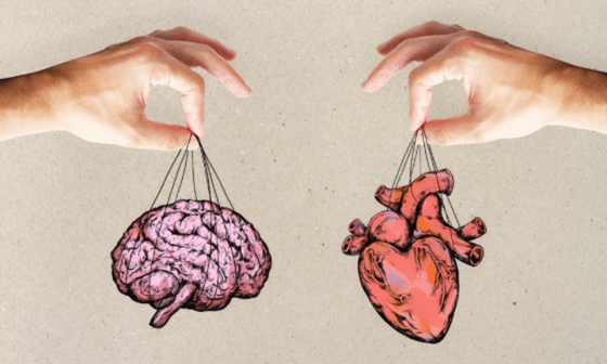 ego vs intuïtie