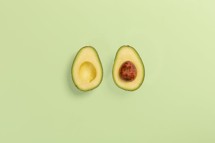 avocado kweken