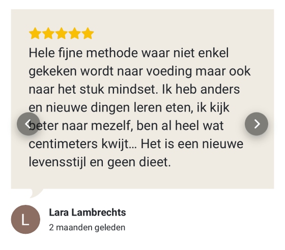 review lazyfitgirl methode